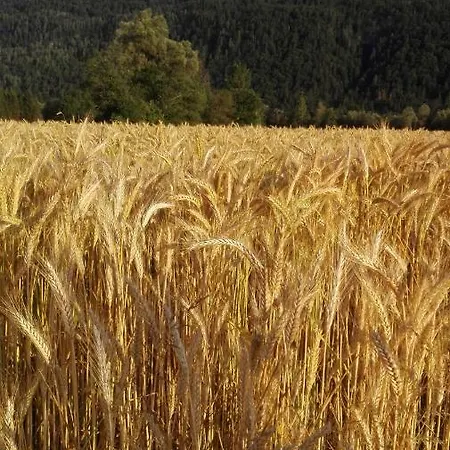 Berg & Διαμέρισμα Hermagor-Pressegger See