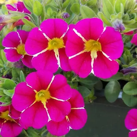 Lägenhet Berg & Hermagor-Pressegger See